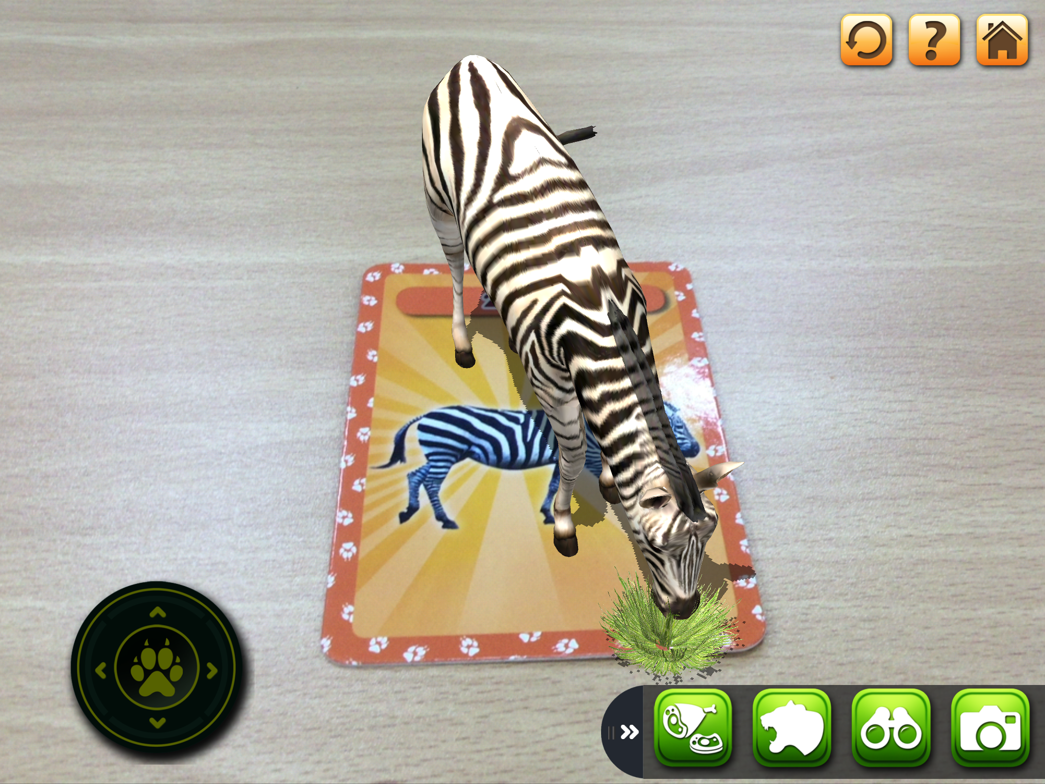 3D LEARNING CARD SAFARI screenshot 8