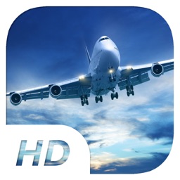 Big Bee - Cargo Plane Simulator