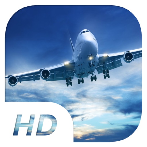 Big Bee - Cargo Plane Simulator iOS App