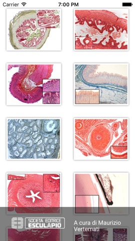 Diagnosi di Anatomia Microscopicaのおすすめ画像2