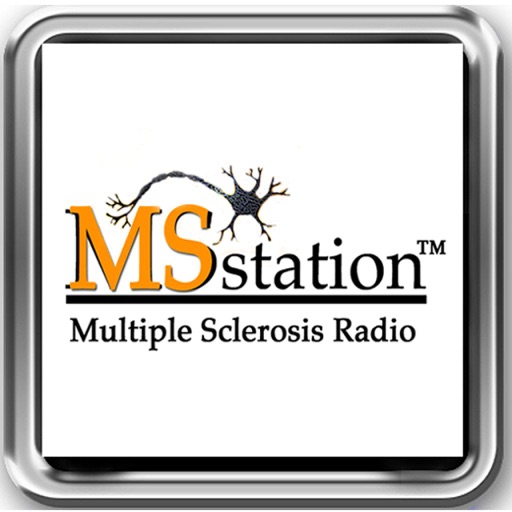 MSstation icon