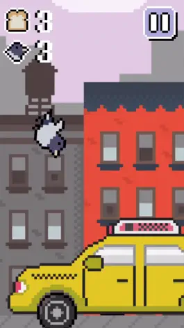 Game screenshot The Fattest Bird in Brooklyn hack