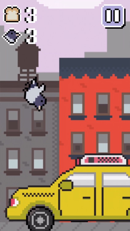 The Fattest Bird in Brooklyn