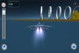 Game screenshot Flight Simulator The Ring Challenge hack