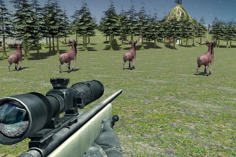 Wild Hunter 3d game Simulator screenshot 3