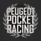 Icon Peugeot Pocket Racing