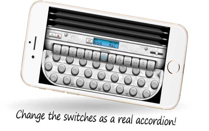 Diatonic Button Accordion Free