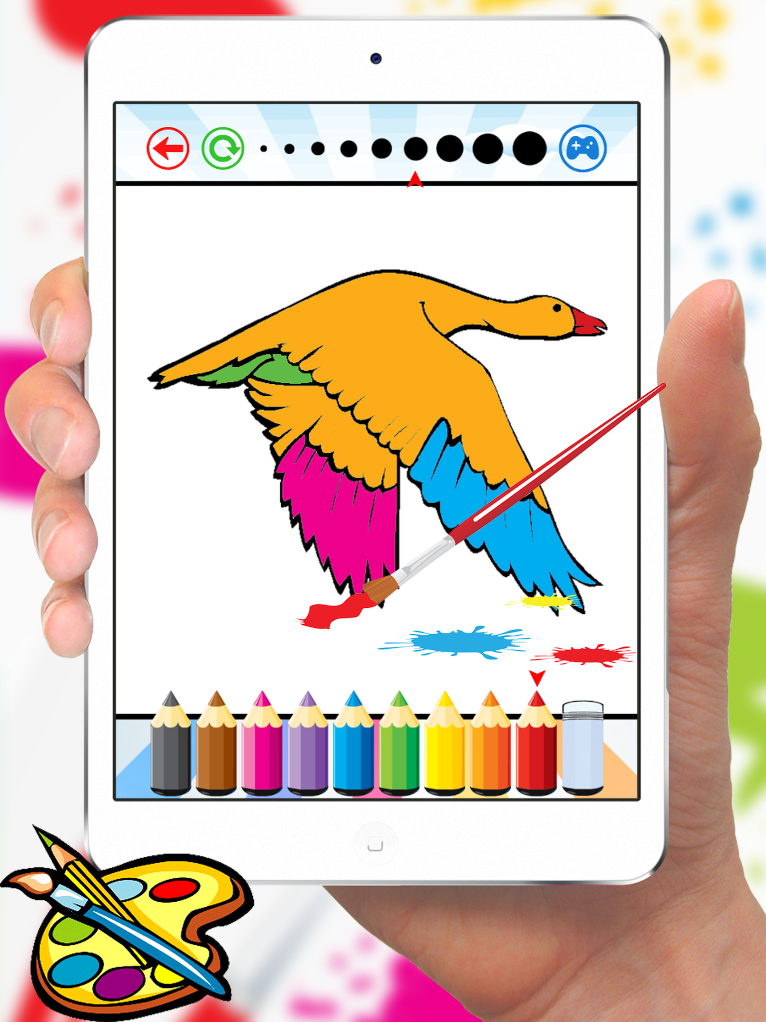 Bird Coloring Book for Kids - Children Drawing free games