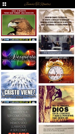 Jamas Te Rindas