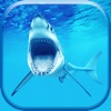 Shark Wallpaper & Lock Screen Themes – Pimp Your Background With Cool Wallpapers