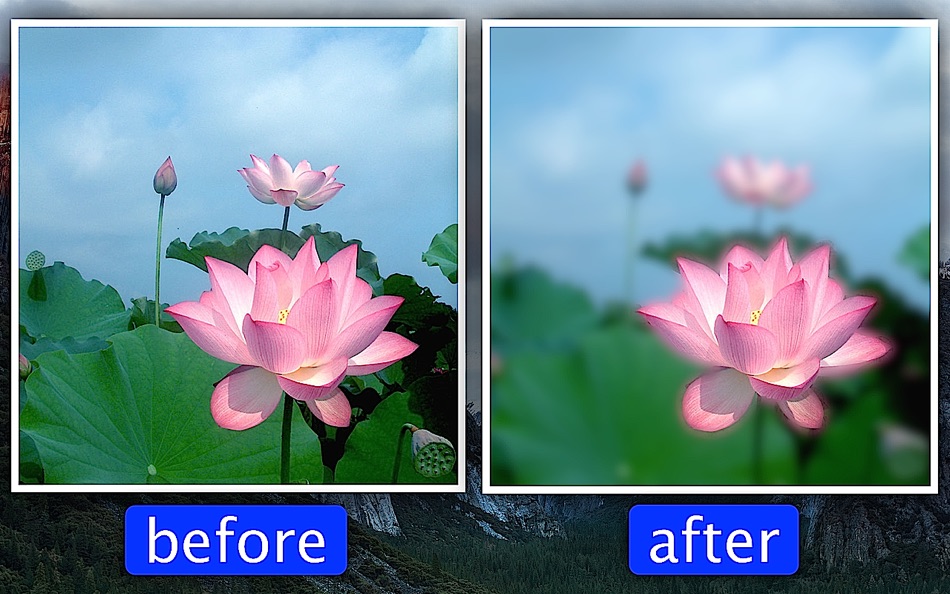 Photo Focus & Splash Color Pro - 3.1.6 - (macOS)