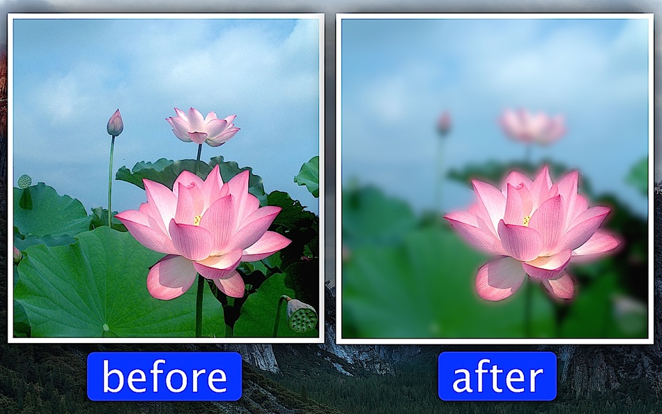 #1. Photo Focus & Splash Color Pro (macOS) By: 仕涛 张