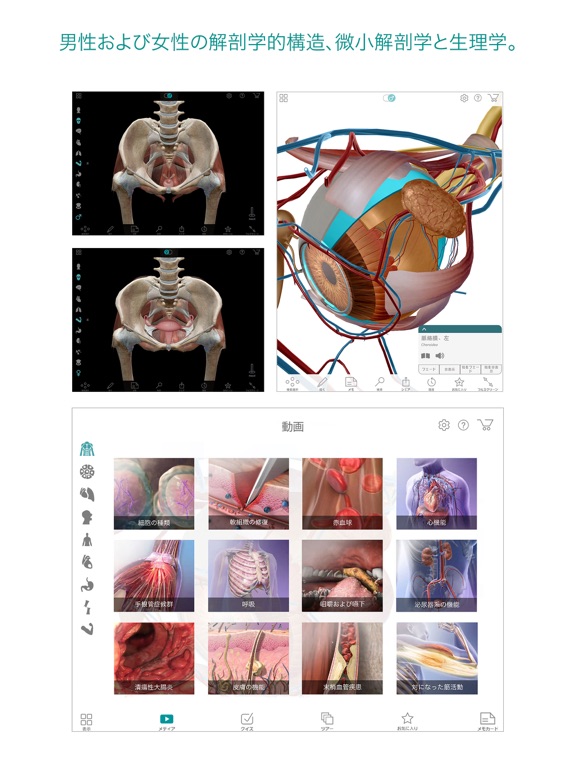 ヒューマン・アナトミー・アトラスのおすすめ画像4
