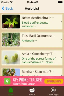 Game screenshot Ayurvedic Remedies - Treatment - Herbs apk