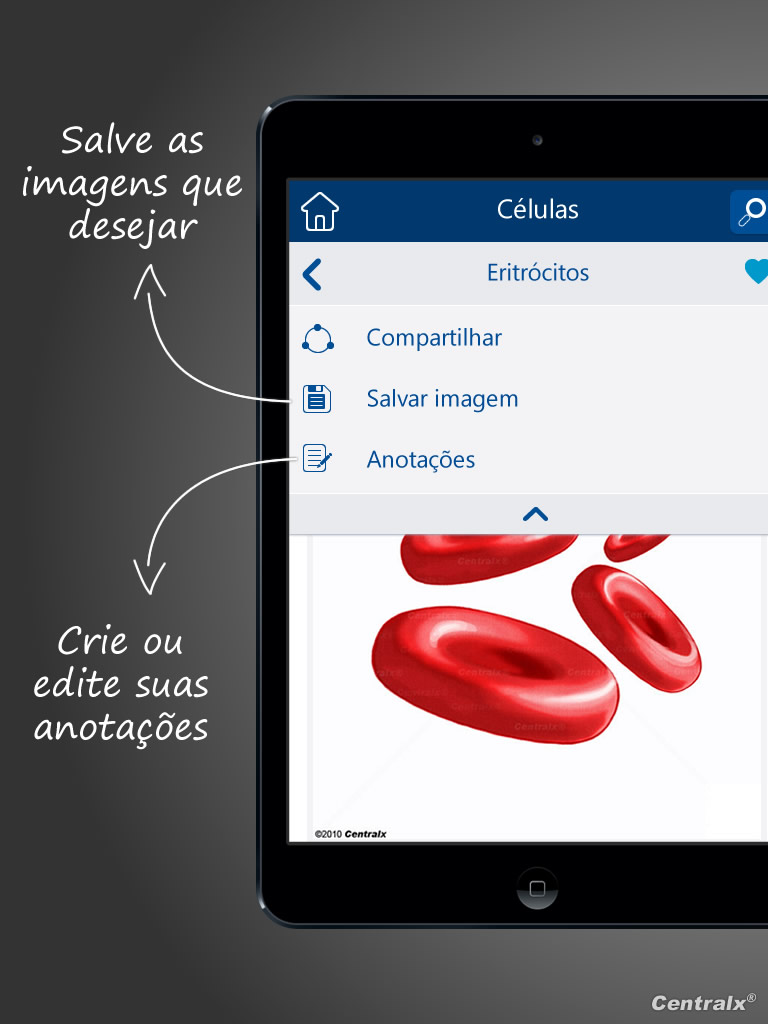 HiDoctor Atlas de Anatomia do Corpo Humano