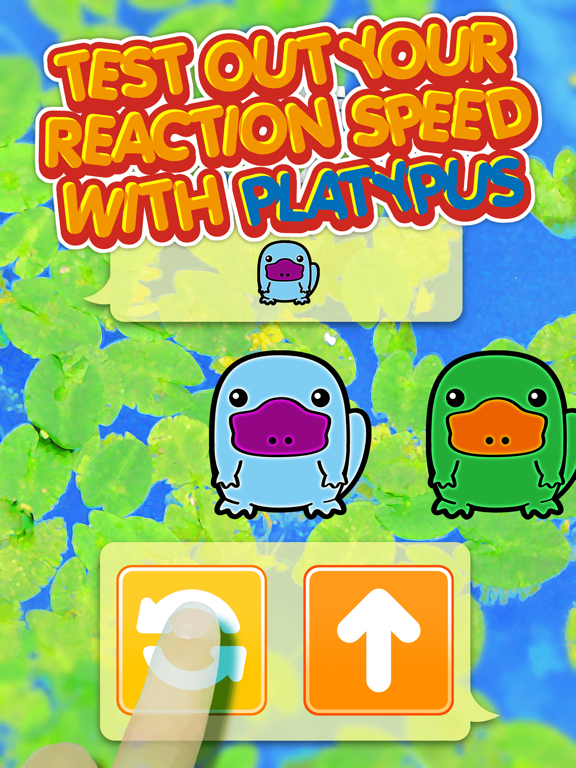 Screenshot #5 pour Platypus Dojo - Best Animals Pocket Games Play After School ( Fun For All Class Student )