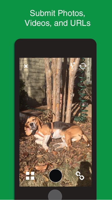 Munday: Social Media and Network screenshot 2
