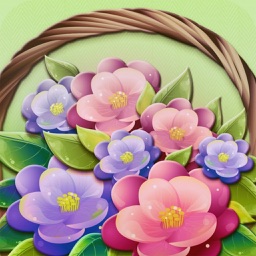 家庭养花帮手实用知识宝典 - 梦想花园养花养闲情，你身边的园艺专家