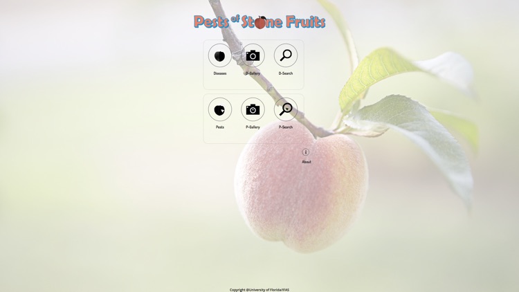 Pests of Stone Fruits