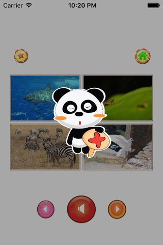 Animal sounds - App for kids screenshot 4