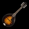 Mandolin Tuner Simple - iPhoneアプリ