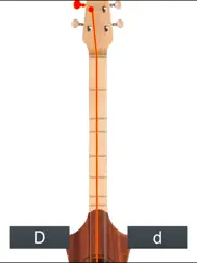 dulcimer tuner simple mixolydian ipad images 3