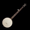 Banjo Tuner Simple icon
