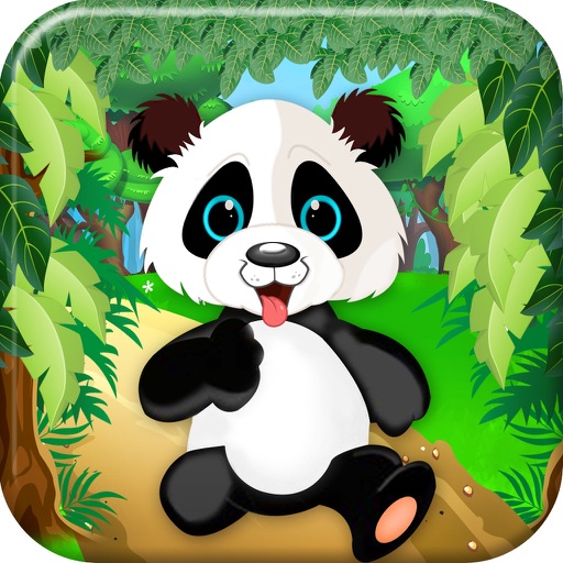 Crazy Panda Run And Jump icon