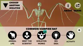 Game screenshot Skin & Bones hack