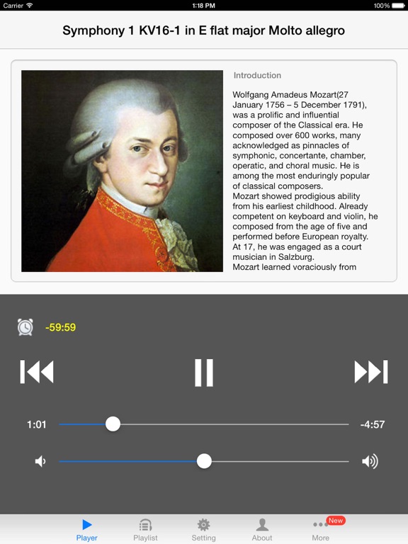 Screenshot #4 pour Mozart Symphony