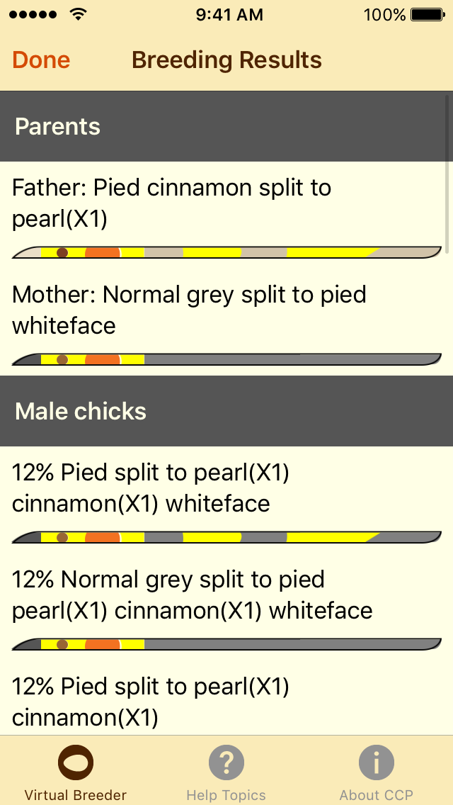 Cockatiel Color Palette