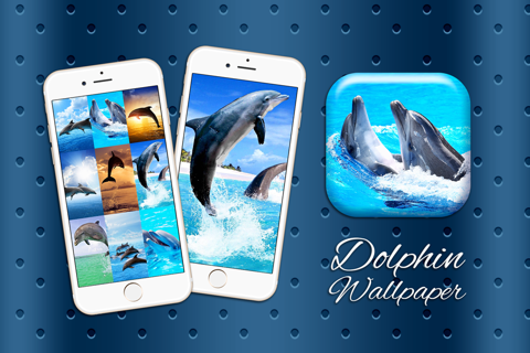 Dolphin Wallpaper HD Collection – Lovely Ocean Themes And Cute Retina Backgrounds screenshot 3