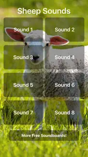 sheep sounds iphone screenshot 1