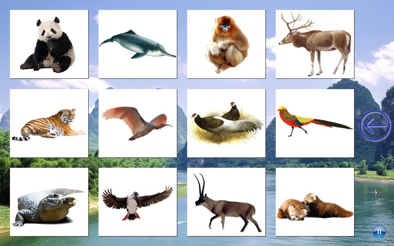 Animals China thumbnail 3