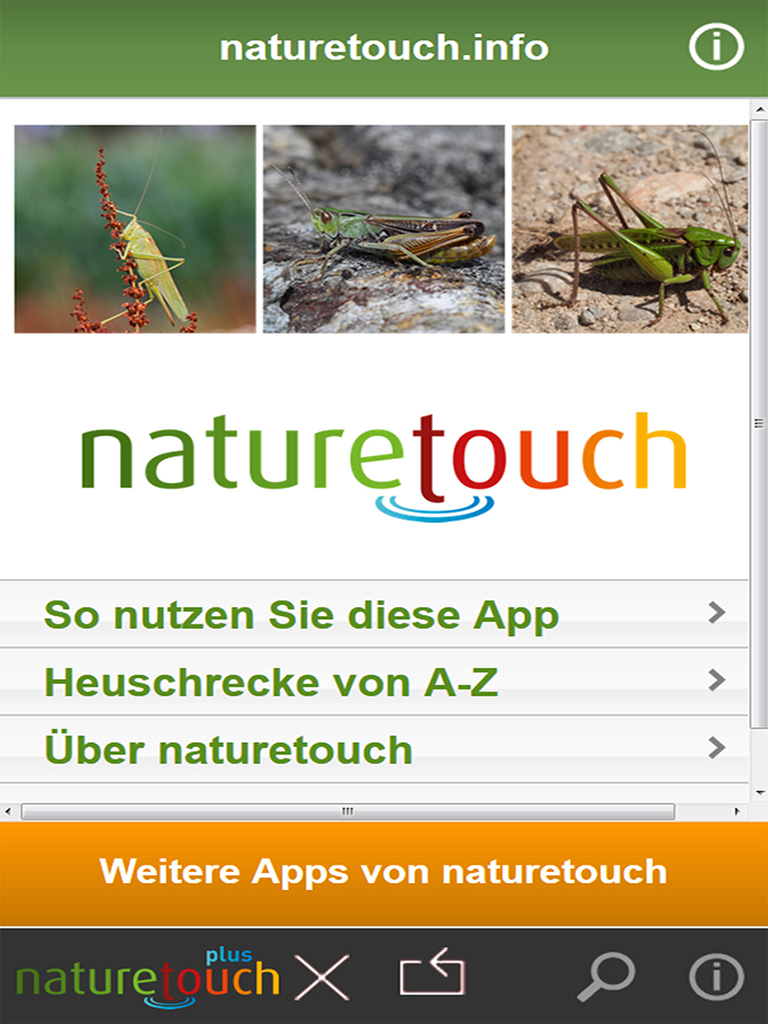 Schlangen, Eidechsen, Schildkröten bestimmen