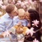 Learn tips and effective parenting skills from this app