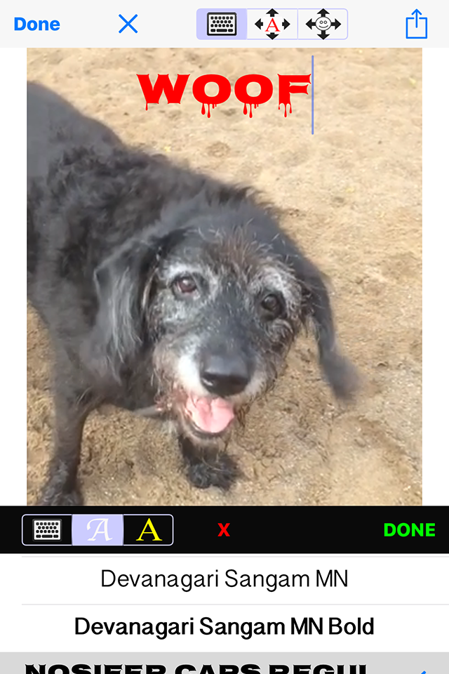 iMagiGIF - time-bending animated GIF maker camera