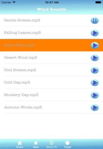 Wind Sounds screenshot 4