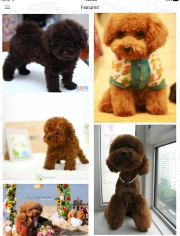 Screenshot #5 for 10000+ Cute HD Wallpapers : New retina themes and background