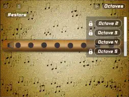 Flute Pro screenshot 6