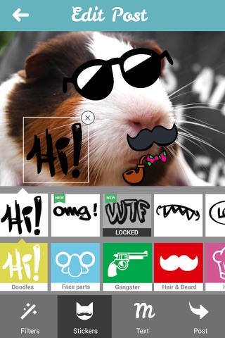Moofio - Pet social network for cats, dogs and all other animals screenshot 4