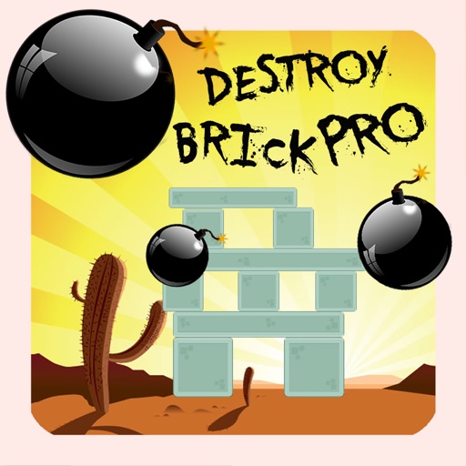 Destroy Brick Pro icon