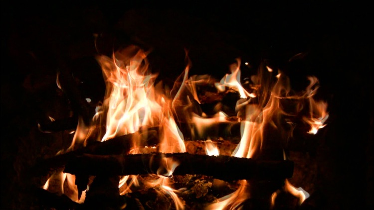 Fireplaces HD screenshot-3