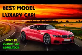 Game screenshot Drive In Luxury Car Simulator hack