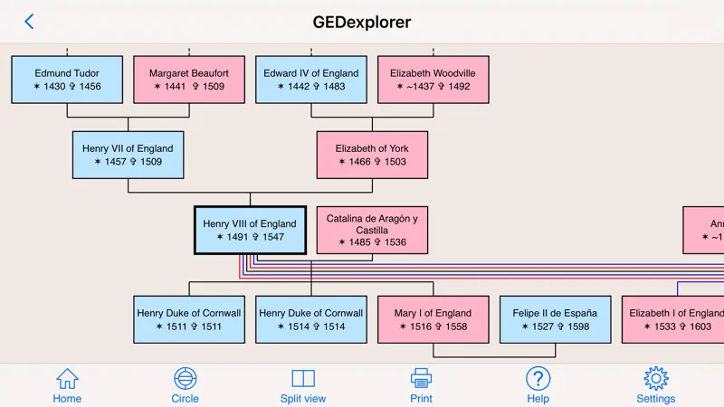 GEDexplorer screenshot 1 of 3