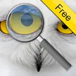 Photo Loupe Free App Negative Reviews