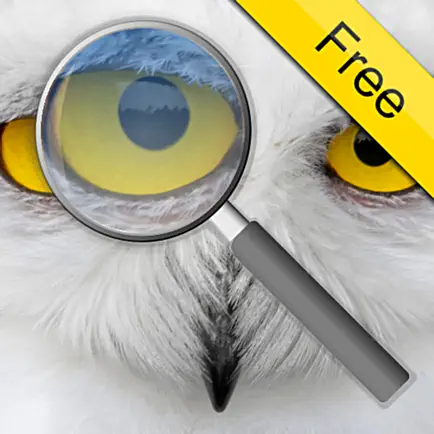 Photo Loupe Free Cheats