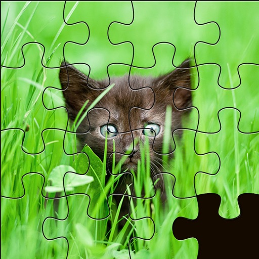 Puzzles Jig-Jigsaw For Pet Lovers And Children Icon