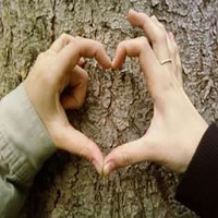 صور رومنسية وحب رائعة pour PC