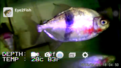 Screenshot #2 pour Eye2Fish